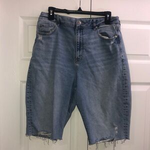 American Eagle Outfitters Blue Denim Shorts